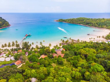 Güzel doğa tropikal plaj ve deniz ile Hindistan cevizi hurma ağacı o