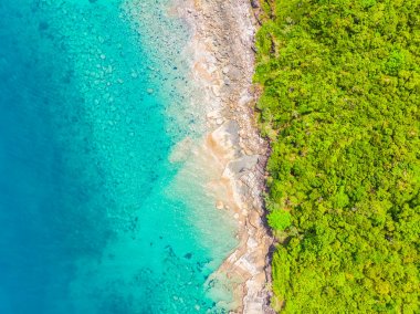 Güzel doğa tropikal plaj ve deniz ile Hindistan cevizi hurma ağacı o