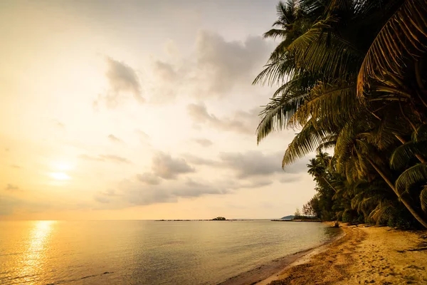 Wunderschöne paradiesische Insel mit Strand und Meer rund um Kokospalmen — Stockfoto