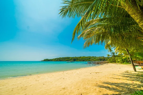 Hermosa playa tropical y mar con palmera de coco en desfile —  Fotos de Stock