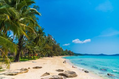Güzel tropikal plaj ve deniz