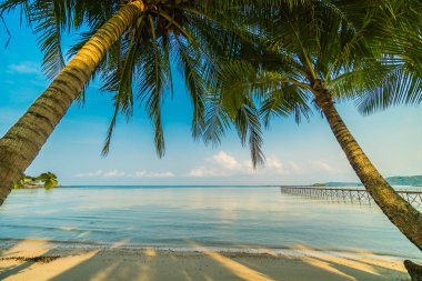 Güzel cennet ada plaj ve deniz