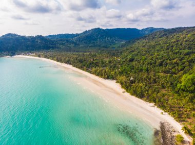 Plaj ve deniz ile Hindistan cevizi hurma ağacı güzel havadan görünümü