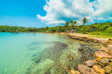 Güzel tropikal plaj ve deniz parad Hindistan cevizi hurma ağacı ile