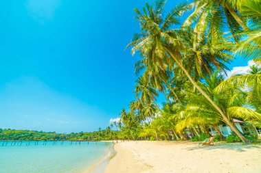 Güzel tropikal plaj ve deniz parad Hindistan cevizi hurma ağacı ile