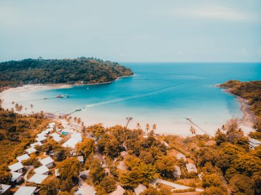 Güzel doğa tropikal plaj ve deniz ile Hindistan cevizi hurma ağacı o
