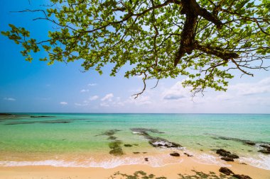 Güzel cennet tropikal plaj ve deniz