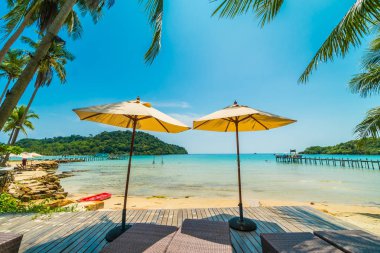 Güzel tropikal plaj ve deniz parad Hindistan cevizi hurma ağacı ile