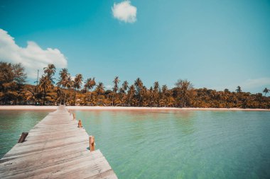 Ahşap iskele veya tropikal plaj ve Deniz Paradise ile köprü