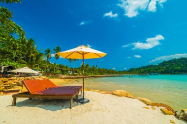 Güzel tropikal plaj ve deniz parad Hindistan cevizi hurma ağacı ile