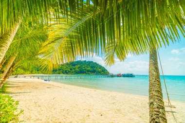 Güzel tropikal plaj ve deniz parad Hindistan cevizi hurma ağacı ile