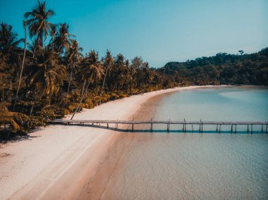 Güzel doğa tropikal plaj ve deniz ile Hindistan cevizi hurma ağacı o