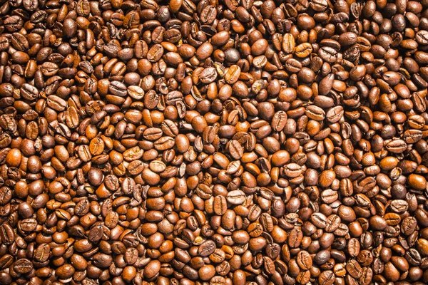 Brown coffee beans and seed — Stock Photo, Image