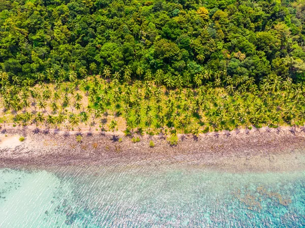 Plaj ve deniz ile Hindistan cevizi hurma ağacı güzel havadan görünümü