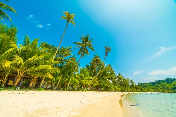 Bela praia tropical e mar com coqueiro em parad — Fotografia de Stock