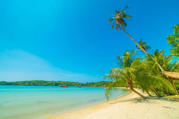 Beautiful tropical beach and sea with coconut palm tree in parad — Stock Photo, Image