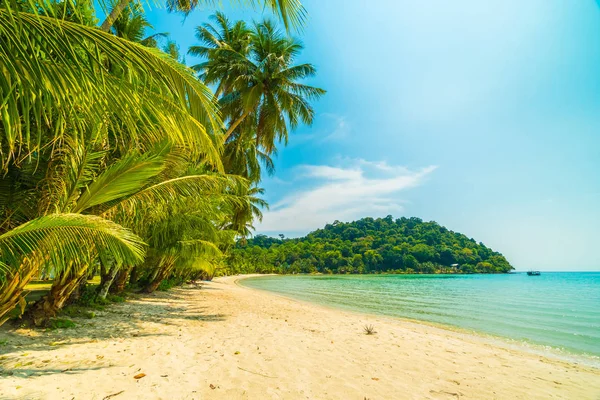 Hermosa playa tropical y mar con palmera de coco en desfile — Foto de Stock