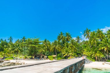 Güzel tropikal plaj ve deniz