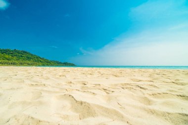 Güzel doğa tropikal plaj ve deniz ile Hindistan cevizi hurma ağacı o