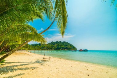 Güzel tropikal plaj ve deniz parad Hindistan cevizi hurma ağacı ile