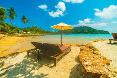 Güzel tropikal plaj ve deniz parad Hindistan cevizi hurma ağacı ile