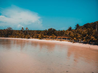 Güzel doğa tropikal plaj ve deniz ile Hindistan cevizi hurma ağacı o