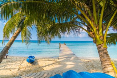 Güzel tropikal plaj ve deniz