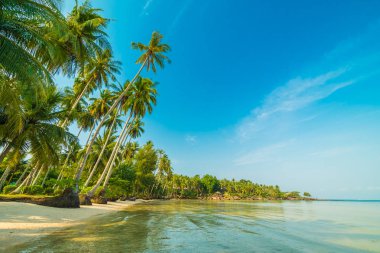 Güzel cennet ada plaj ve deniz