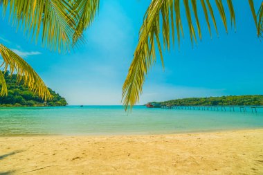 Güzel tropikal plaj ve deniz parad Hindistan cevizi hurma ağacı ile