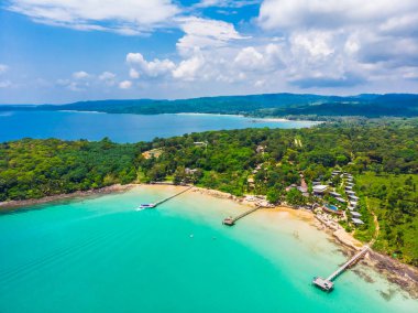 Plaj ve deniz ile Hindistan cevizi hurma ağacı güzel havadan görünümü