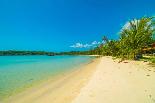 Bella spiaggia tropicale e mare con palma da cocco in parata — Foto Stock