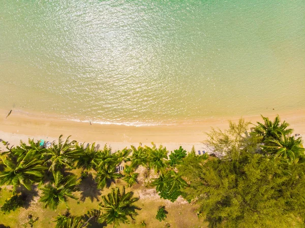 Plaj ve deniz ile Hindistan cevizi hurma ağacı güzel havadan görünümü — Stok fotoğraf