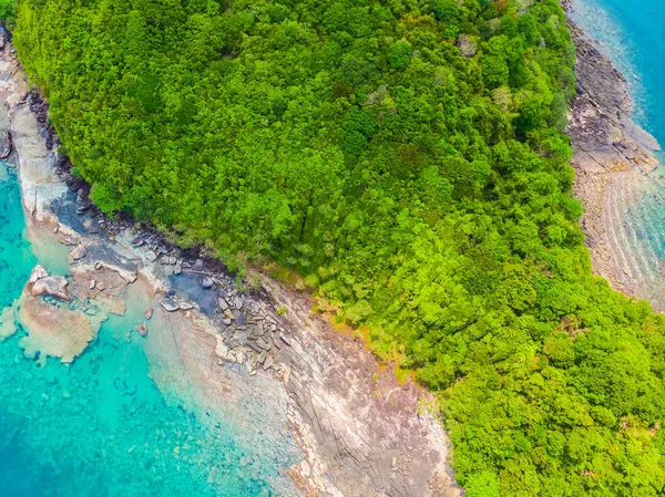 Природа, пляж и море с кокосовой пальмой. — стоковое фото