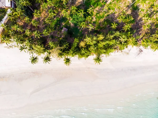 Plaj ve deniz ile Hindistan cevizi hurma ağacı güzel havadan görünümü — Stok fotoğraf