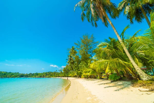 Beautiful tropical beach and sea with coconut palm tree in parad — Stock Photo, Image