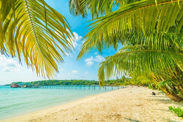 Bella spiaggia tropicale e mare con palma da cocco in parata — Foto Stock