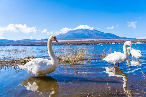 Krásná krajina hory Fudži kolem yamanakako jezera — Stock fotografie