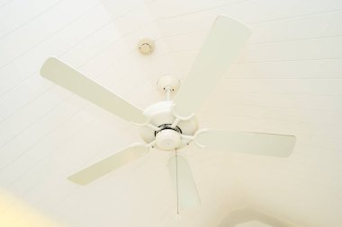 Beyaz tavan fan dekorasyon iç