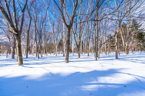 Beautiful landscape with tree in snow winter season — Stock Photo, Image