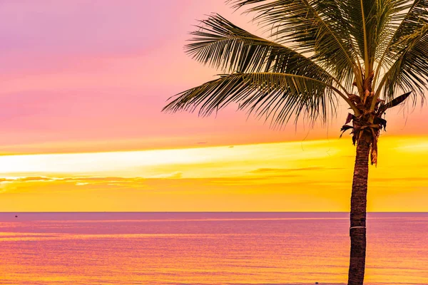 Bella spiaggia mare oceano con palma all'alba per l'alcol — Foto Stock