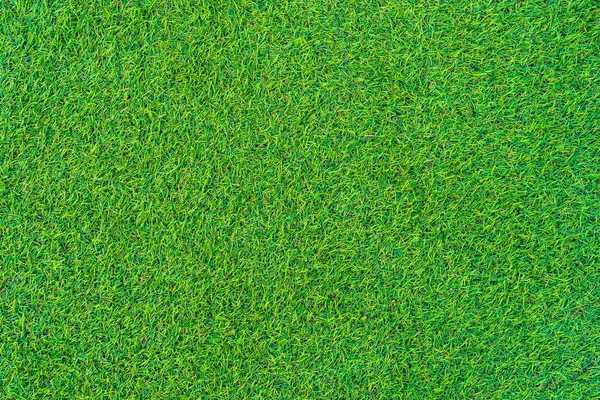 Texture et surface de l'herbe verte abstraite — Photo