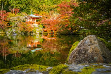 Güzel Daigoji Tapınağı ile renkli ağaç ve yaprak sonbahar s