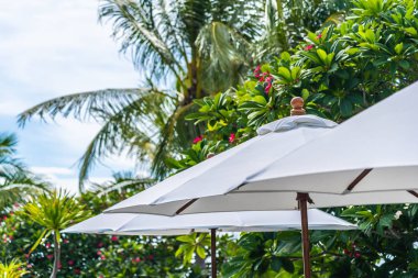 Üzerinde hindistan cevizi palmiye ağacı ile şemsiye seçici odak noktası 