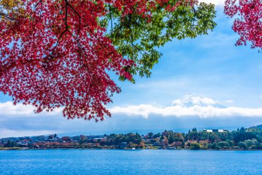 Dağ fuji ile akçaağaç yaprağı ağacın etrafında güzel manzara
