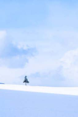 Güzel açık doğa manzara ile Noel ağacı kışın