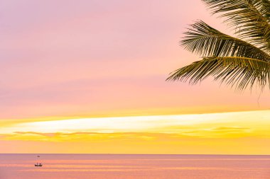 Hol için gün doğumu saatinde palmiye ağacı ile güzel deniz okyanusu plaj