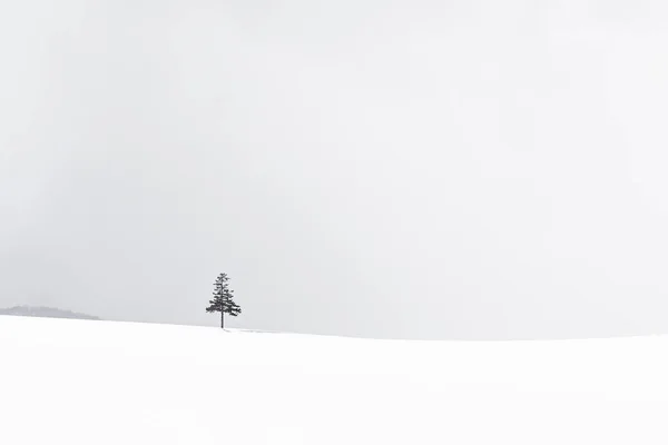 Vackra utomhus natur landskap med julgran i vinter — Stockfoto