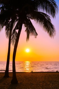 Güzel siluet Hindistan cevizi hurma ağacı gökyüzü neary deniz okyanus üzerinde olması