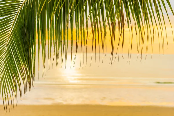 Hermosa playa de mar con palmera al amanecer para el alcohol —  Fotos de Stock