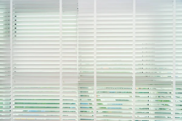 Blinds shade window decoration interior